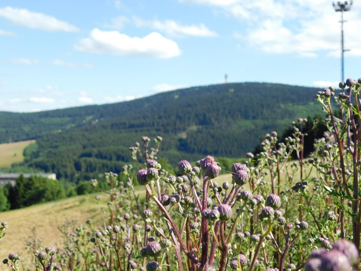Rathaushotels Oberwiesenthal All Inclusive Zewnętrze zdjęcie