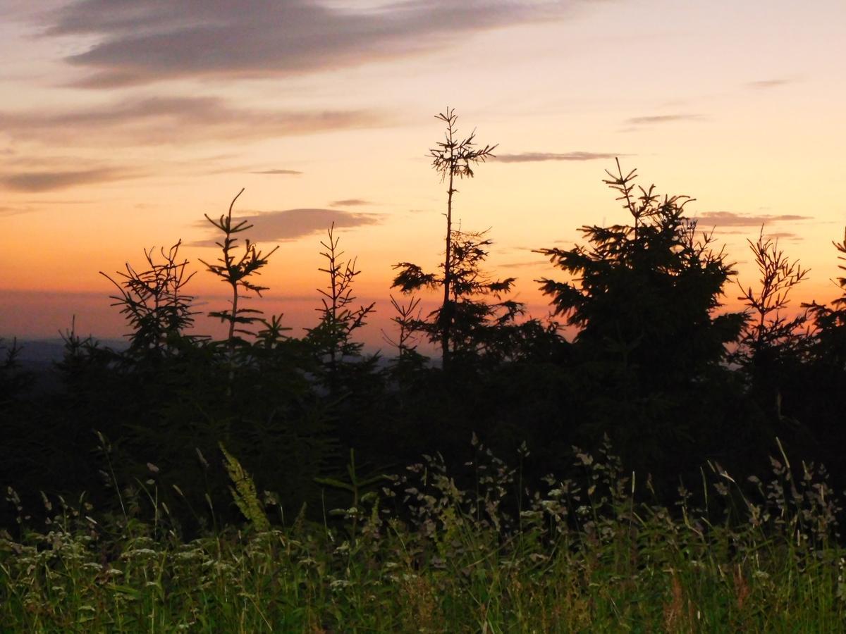 Rathaushotels Oberwiesenthal All Inclusive Zewnętrze zdjęcie