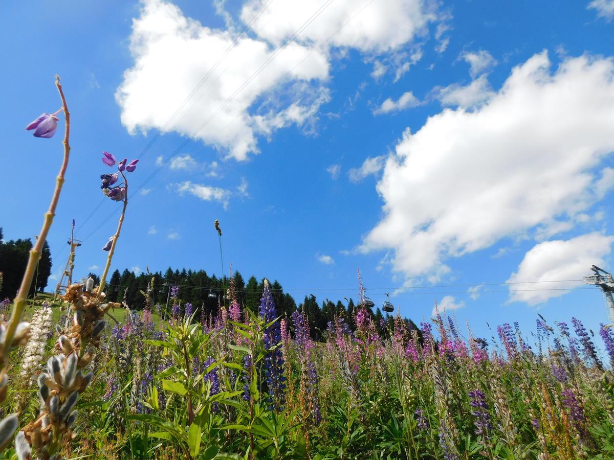 Rathaushotels Oberwiesenthal All Inclusive Zewnętrze zdjęcie