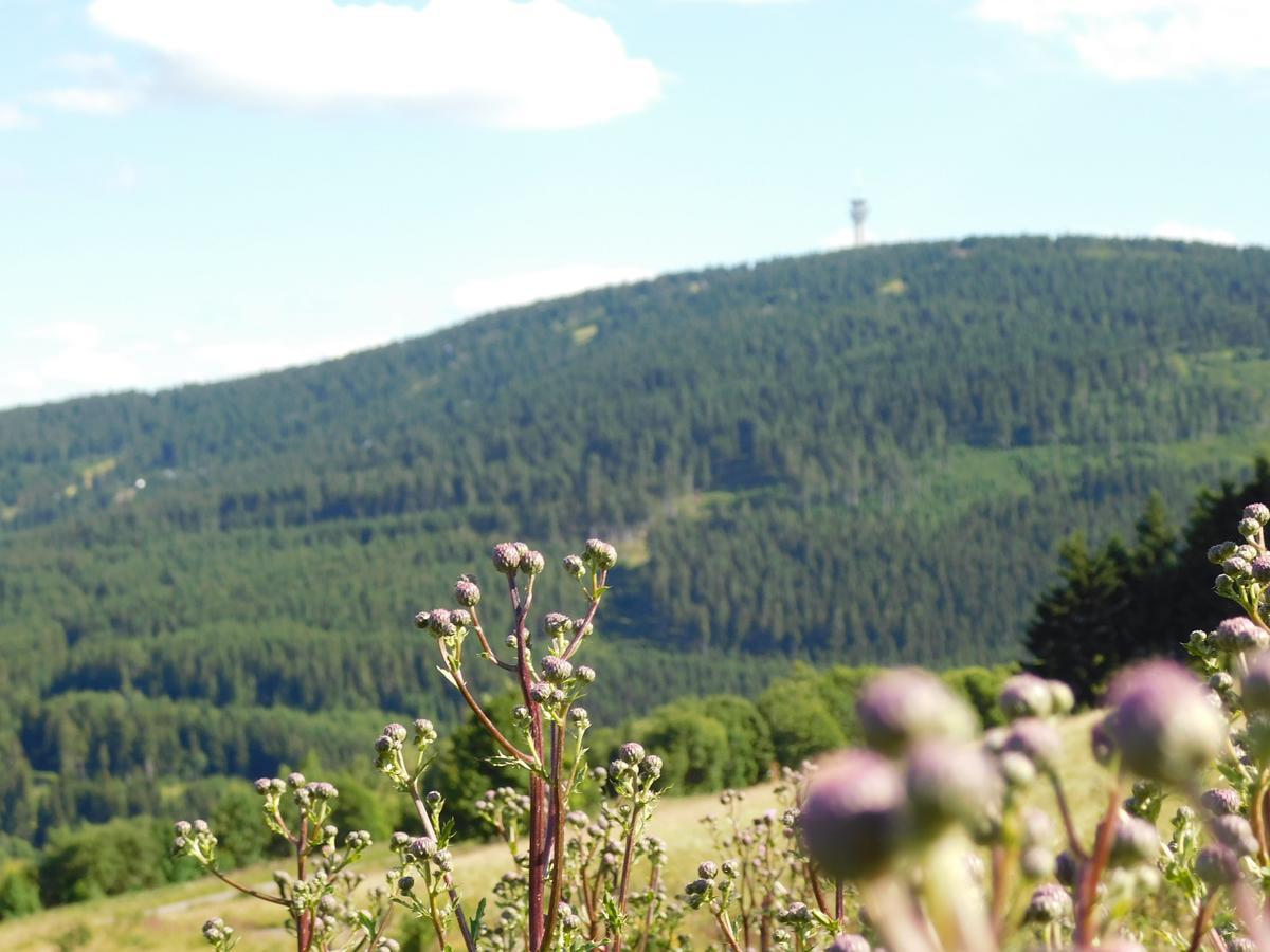 Rathaushotels Oberwiesenthal All Inclusive Zewnętrze zdjęcie